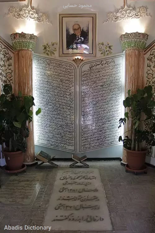 محمود حسابی